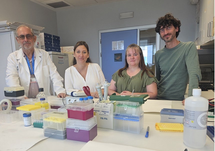 (D’esquerra a dreta). José Vicente Castell, Anna Rapissarda, Erika Moro i Ernesto López Pascual.